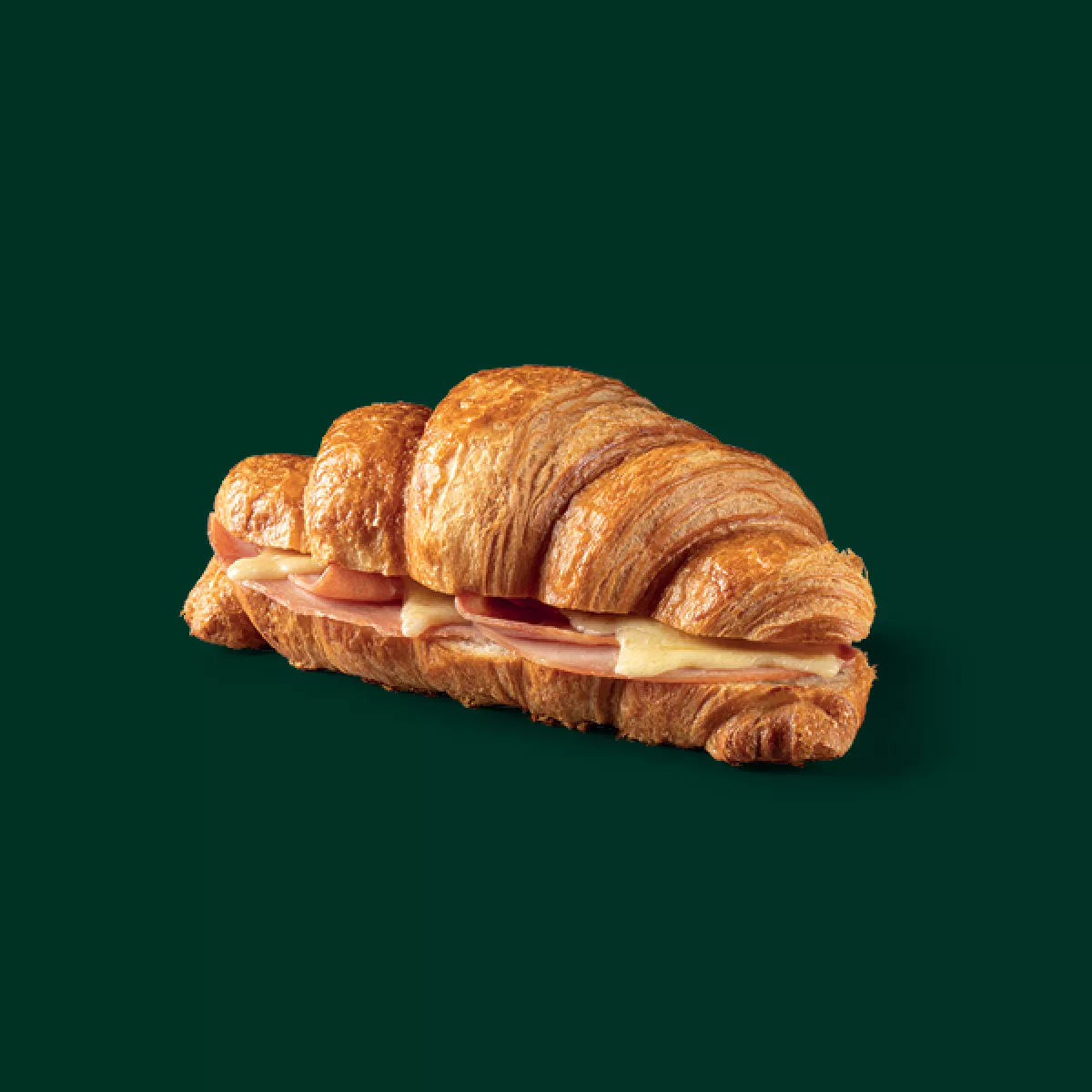 starbucks-hnc