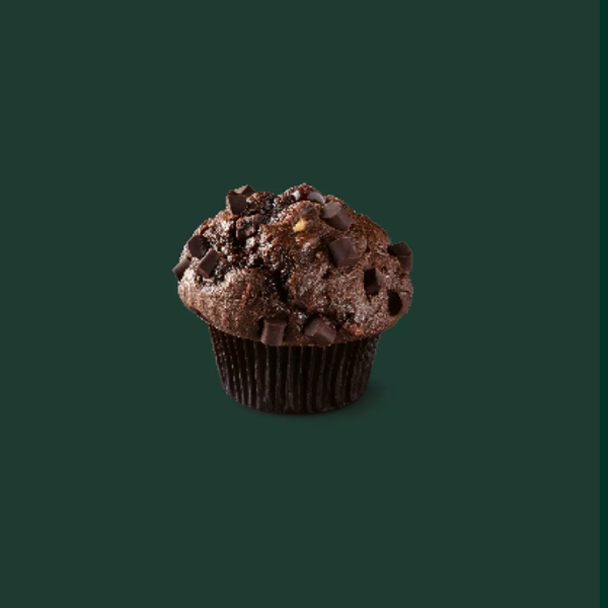starbucks-chocolate-muffin