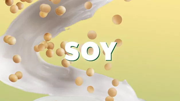 starbucks-soy milk